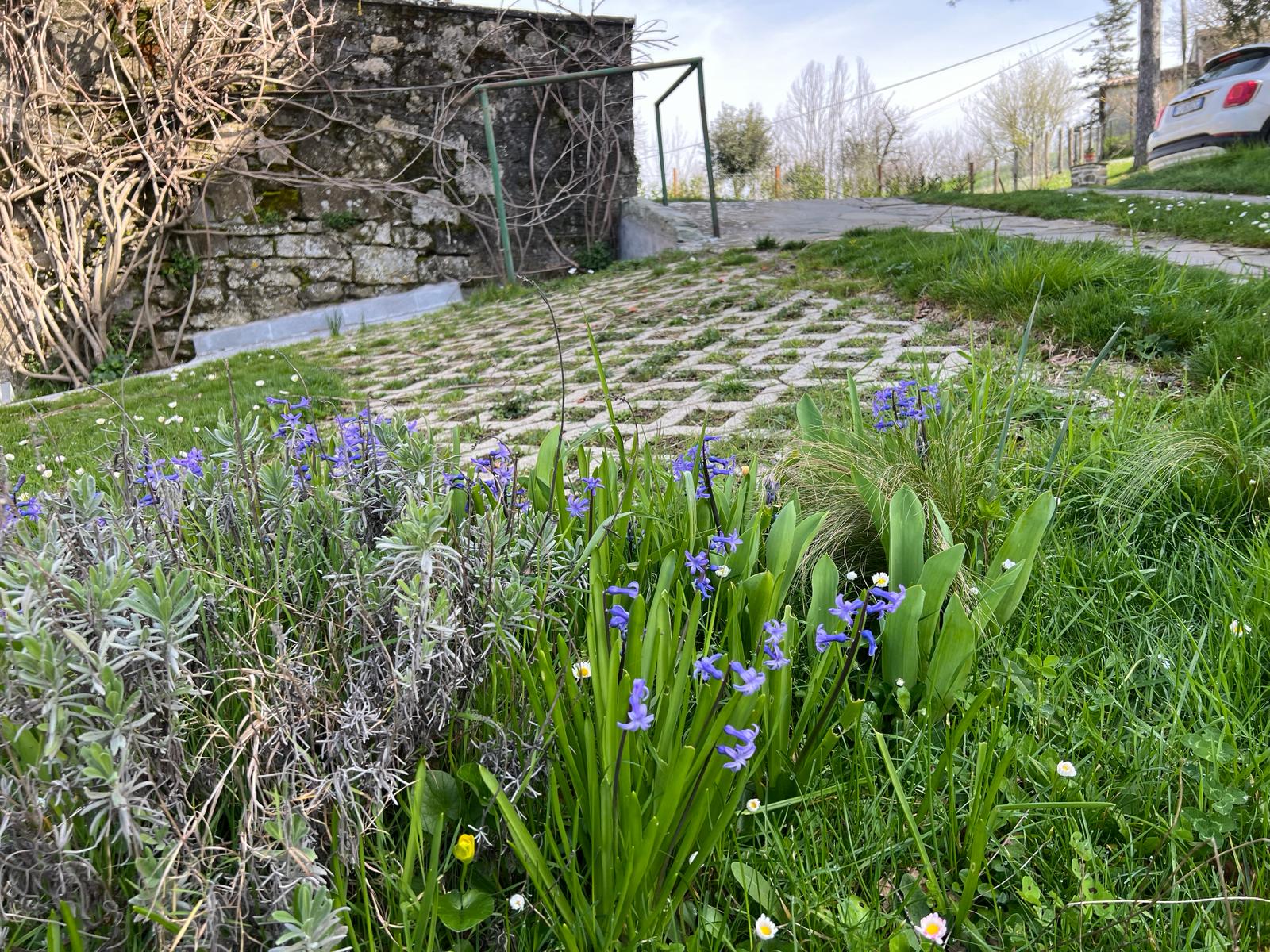 gallery_23