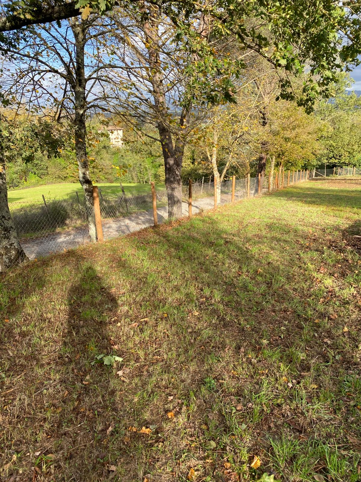 gallery_25